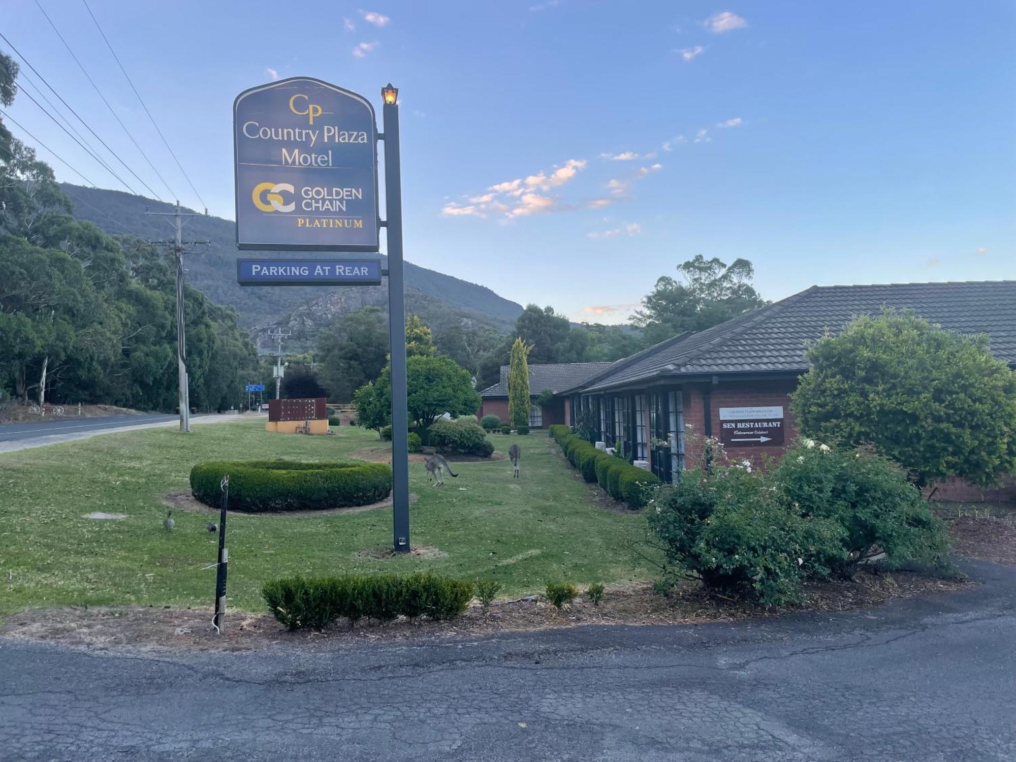 Golden Chain Country Plaza Motel Halls Gap Exterior foto